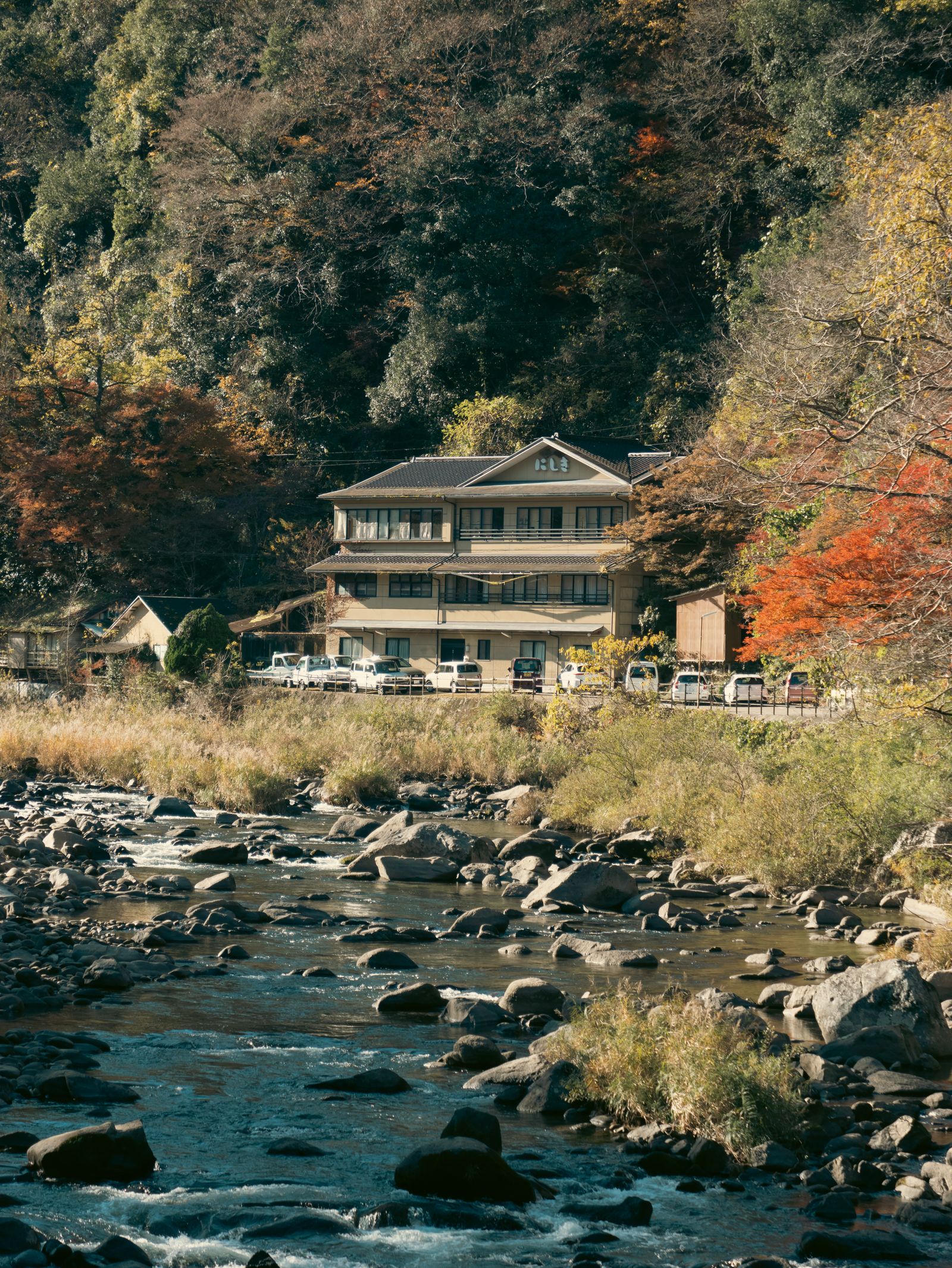 川と家と色づいた木々のある里の風景